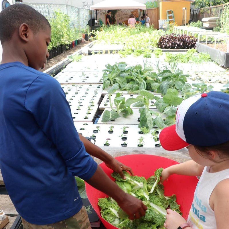 N-Sergeant-Urban-Farm-4.jpg